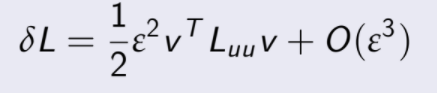 δL = 1 2 ε 2 v T Luu v + O(ε 3 )