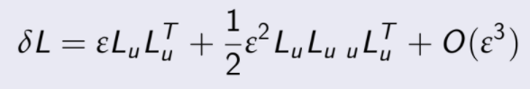 δL = εLuL T u + 1 2 ε 2 LuLu uL T u + O(ε 3 )