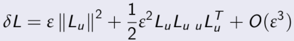 δL = ε kLu k 2 + 1 2 ε 2 LuLu uL T u + O(ε 3 )