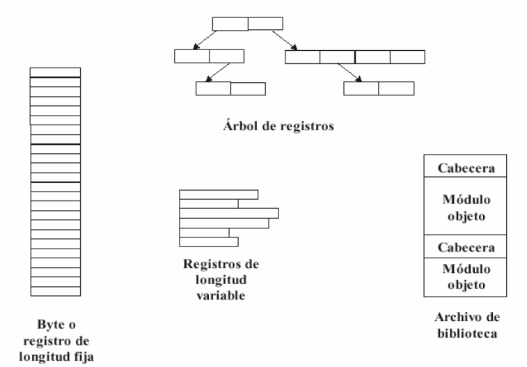 Estructura de archivos